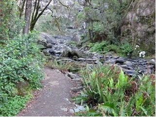 Stevensons Falls - Accommodation Noosa 1