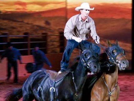 Australian Outback Spectacular - Accommodation Noosa 1