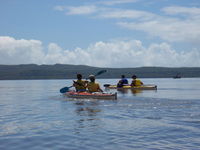 Kanu Kapers - Accommodation Noosa 2