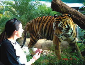 Crocodylus Park - Accommodation Noosa 1