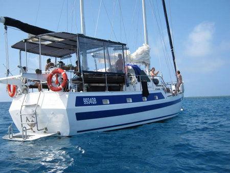 Coral Sea Dreaming Dive And Sail - Accommodation Noosa 3