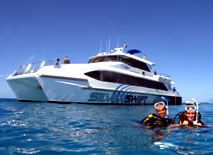 Silver Swift - Accommodation Noosa 0