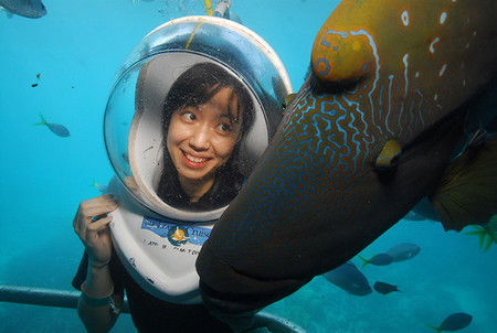 Sunlover Reef Cruises - Accommodation Noosa 0