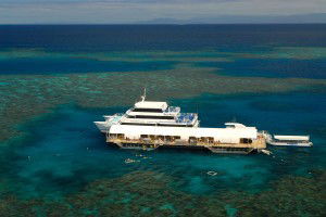 Sunlover Reef Cruises - Accommodation Noosa 2