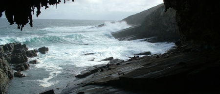 Banksia Adventures - Accommodation Noosa 2
