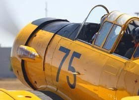 XJET - Accommodation Noosa 2