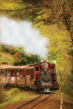 Puffing Billy - Accommodation Noosa 5