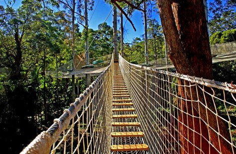 FreemanX Experience - Accommodation Noosa 2