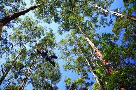 FreemanX Experience - Accommodation Noosa 5