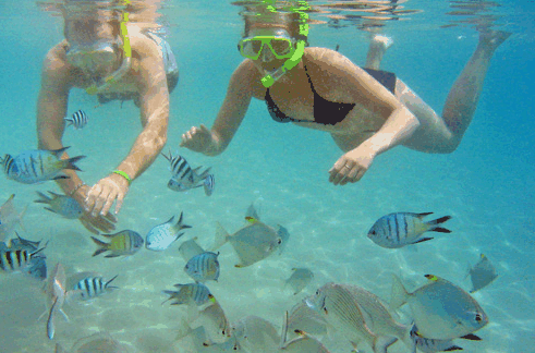 Australian Kayaking Adventures - Accommodation Noosa 2