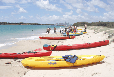 Australian Kayaking Adventures - Accommodation Noosa 3