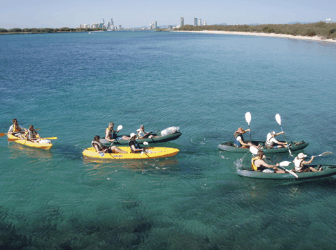 Australian Kayaking Adventures - Accommodation Noosa 4