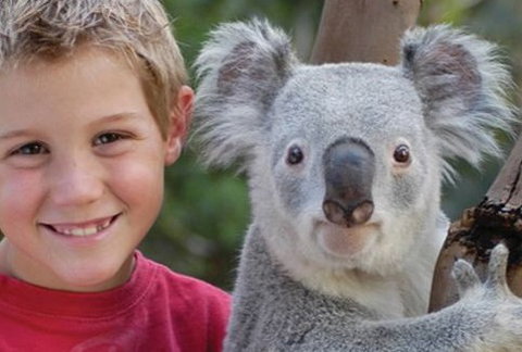 Featherdale Wildlife Park - Accommodation Noosa 1