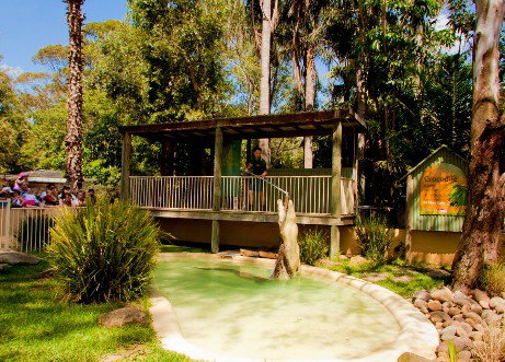 Featherdale Wildlife Park - Accommodation Noosa 2