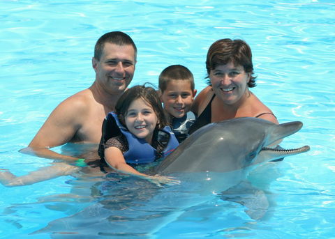 Dolphin Marine Magic - Accommodation Noosa 2