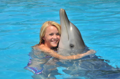 Dolphin Marine Magic - Accommodation Noosa 5