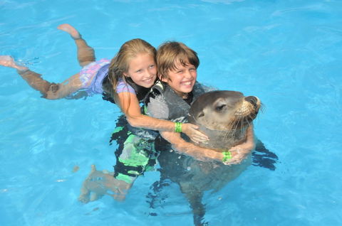 Dolphin Marine Magic - Accommodation Noosa 9