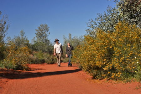 Alice Springs Desert Park - Accommodation Noosa 3