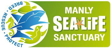 Manly SEA LIFE Sanctuary - Accommodation Noosa 0