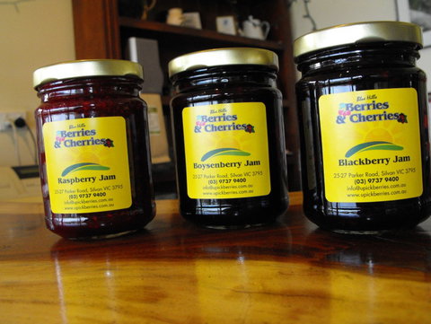 Blue Hills Berries & Cherries - Accommodation Noosa 1