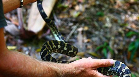 Queensland Day Tours - Accommodation Noosa 1