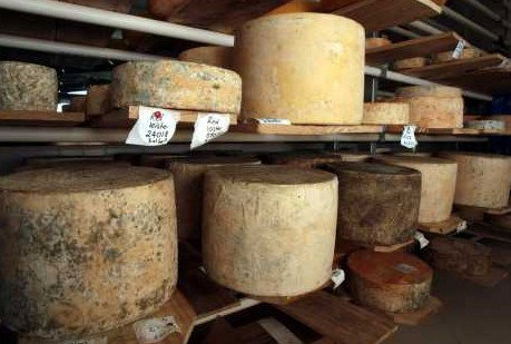 Witches Chase Cheese Co - Accommodation Noosa 3