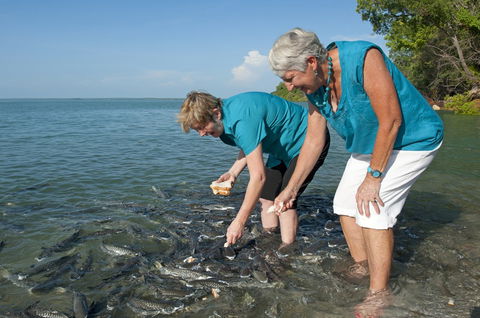 Aquascene Fish Feeding Sanctuary - Accommodation Noosa 0