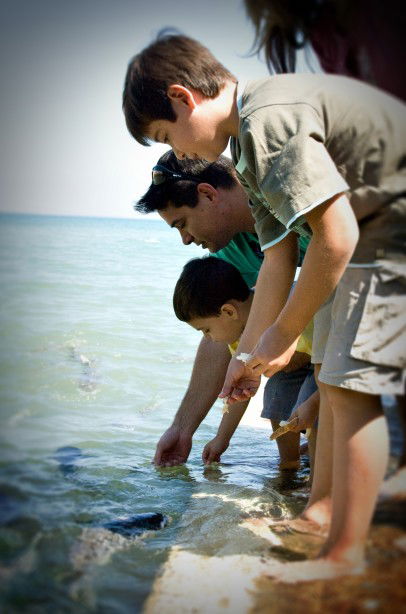 Aquascene Fish Feeding Sanctuary - Accommodation Noosa 3