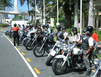 Wildfire Tours - Accommodation Noosa 1