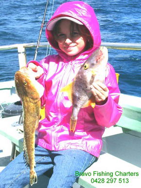 Bravo Fishing Charters - Accommodation Noosa 5