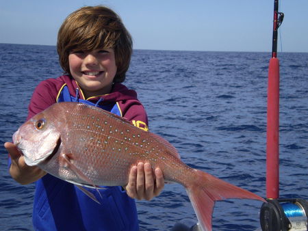 Mills Charters Fishing And Whale Watch Cruises - Accommodation Noosa 4