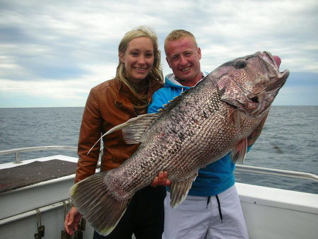 Mills Charters Fishing And Whale Watch Cruises - Accommodation Noosa 5