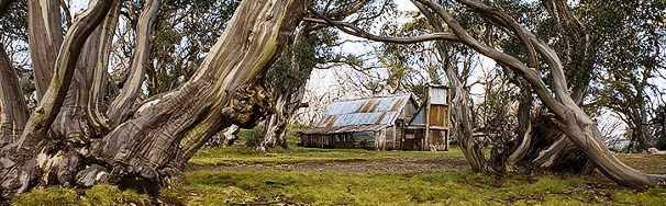 High Country Scenic Tours - Accommodation Noosa