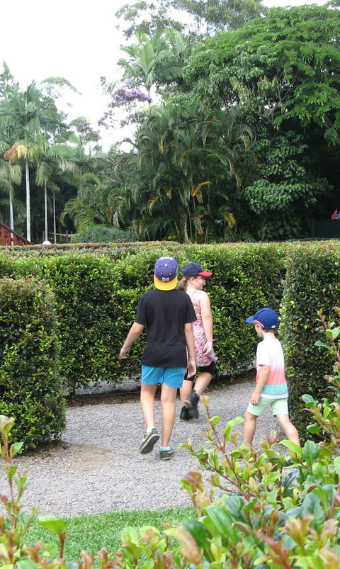 Bellingham Maze - Accommodation Noosa 2
