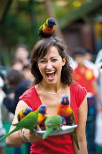 Currumbin Wildlife Sanctuary - Accommodation Noosa 10