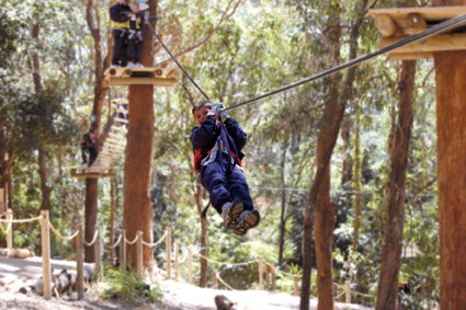 Currumbin Wildlife Sanctuary - Accommodation Noosa 11