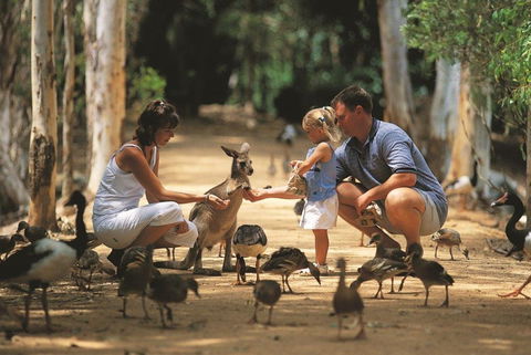 Billabong Sanctuary - Accommodation Noosa 0