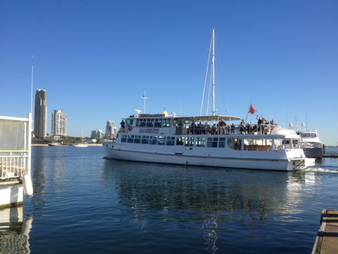 Brisbane Cruises - Accommodation Noosa 1