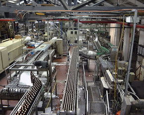 Cascade Brewery Tour - Accommodation Noosa 2