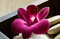 Blush Beauty Saloons - Accommodation Noosa 4