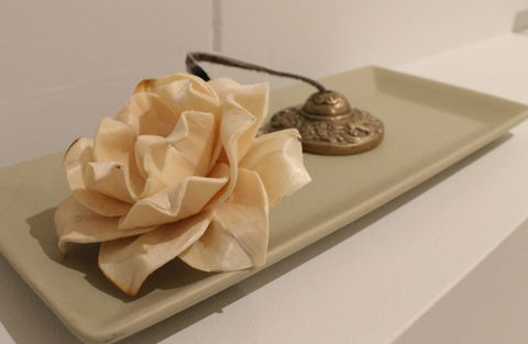 The Boardwalk Spa - Accommodation Noosa 5