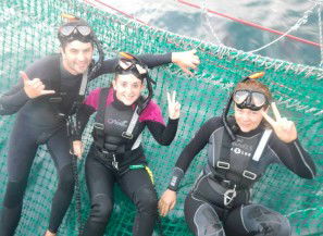 Dolphin Swim Australia - Accommodation Noosa 7