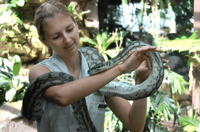 Cairns Wildlife Dome - Accommodation Noosa 2