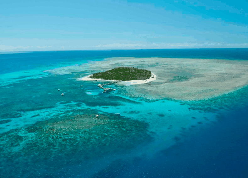 Big Cat Green Island Reef Cruises - Accommodation Noosa 1