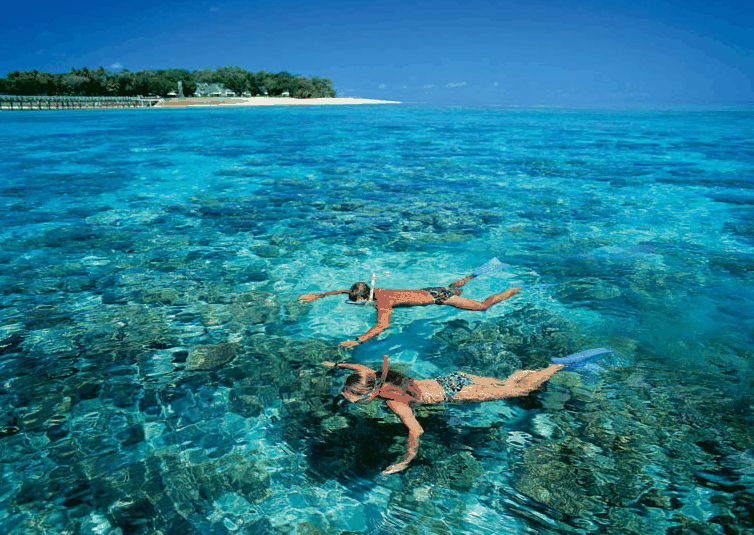 Big Cat Green Island Reef Cruises - Accommodation Noosa 4