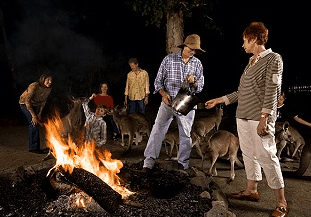 Cairns Night Zoo - Accommodation Noosa 0