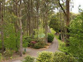 Mount Lofty Botanic Garden - Accommodation Noosa 0