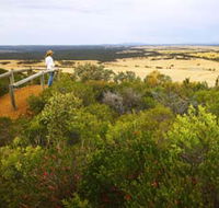 Archer Drive Scenic Drive and Lookout - Accommodation Noosa