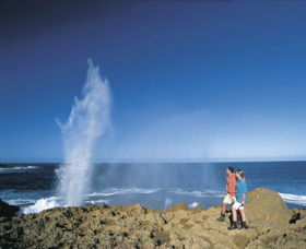 The Blowholes Carnarvon - Accommodation Noosa 0