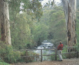 Cascades - Accommodation Noosa 0